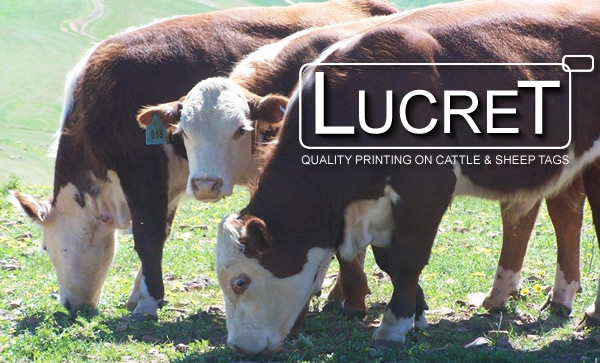 lucret
